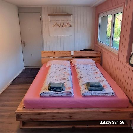 Mountain - Lake Apartment 3 Wilderswil Εξωτερικό φωτογραφία