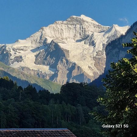 Mountain - Lake Apartment 3 Wilderswil Εξωτερικό φωτογραφία